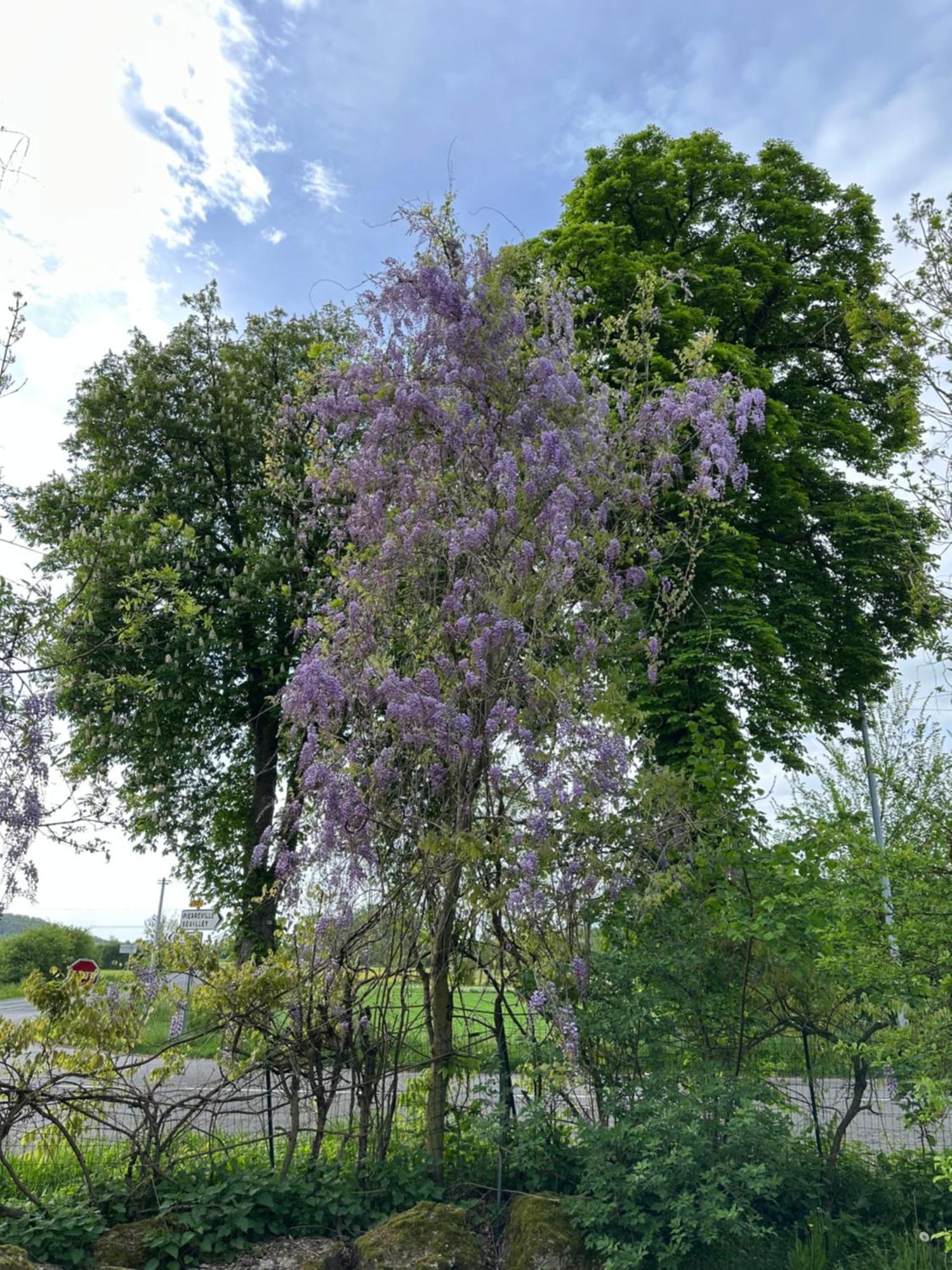 Riviere Et Jardin A Vos Pieds Apartment Pulligny ภายนอก รูปภาพ